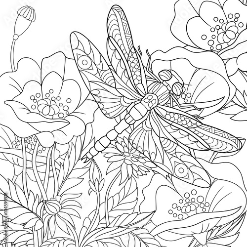 Zentangle stylized cartoon dragonfly insect is flying around poppy flowers. Sketch for adult antistress coloring page. Hand drawn doodle, zentangle, floral design elements for coloring book.