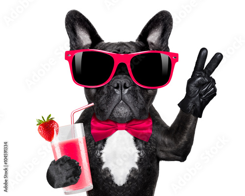 Fototapeta Naklejka Na Ścianę i Meble -  cocktail smoothie dog