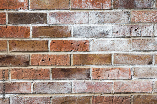 Brick wall with white efflorescence 