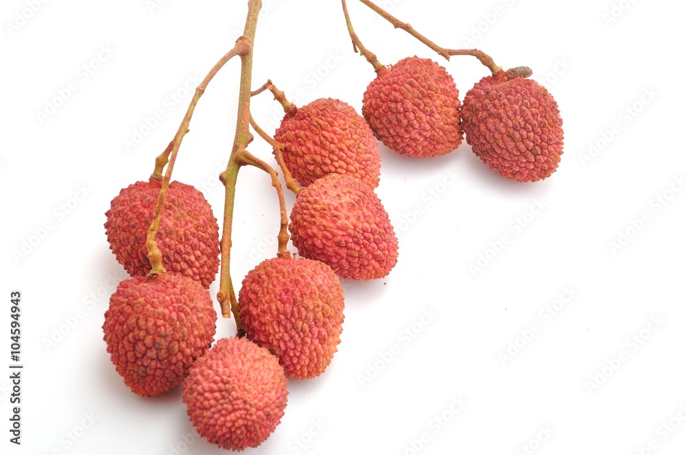 Branch of lychees Branch of lychees