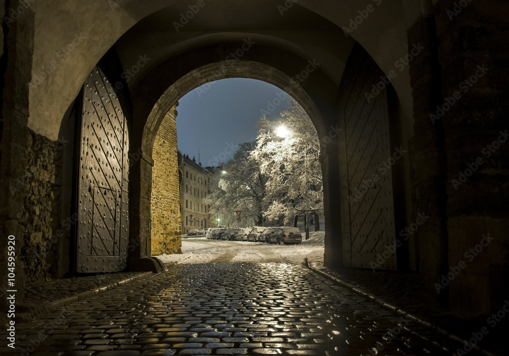 Fotografie Beautiful view in Prague through gate in winter