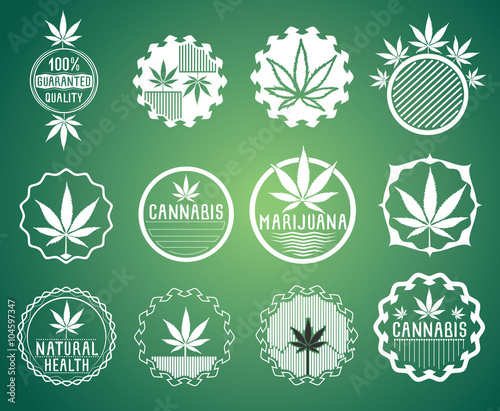 marijuana cannabis leaf symbol texture vector illustration