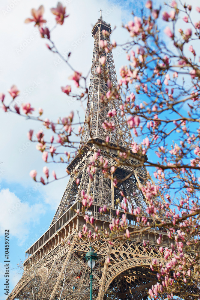 Fototapeta premium Spring in Paris