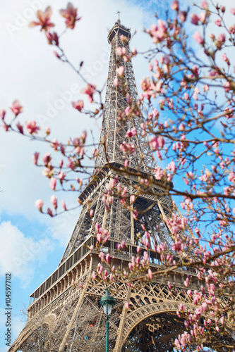 Spring in Paris