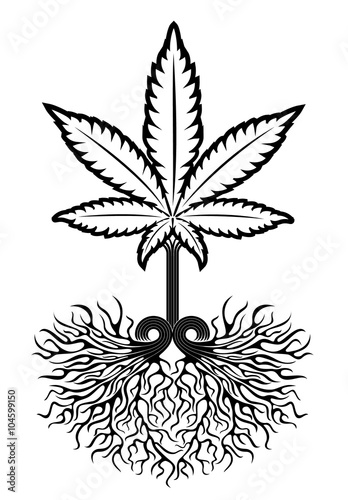 marijuana cannabis leaf symbol design vector illustration