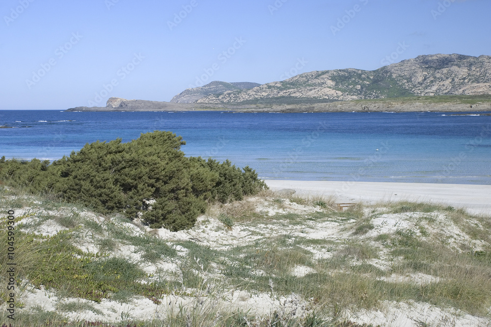 pelosa di stintino