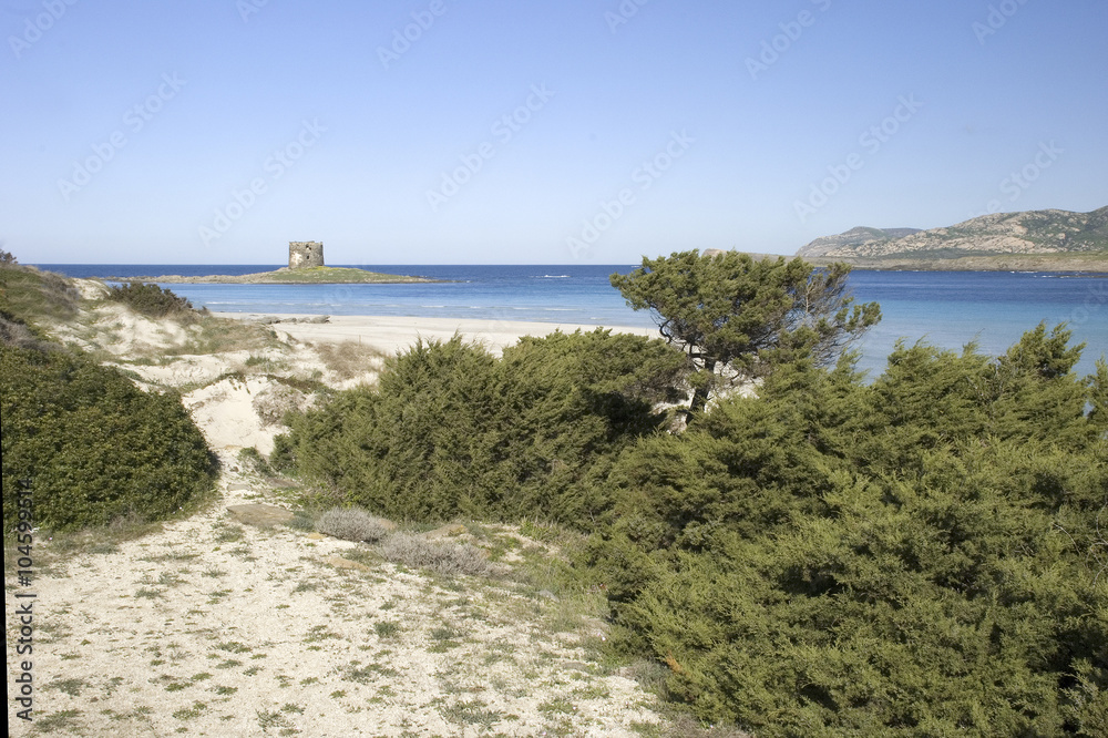 pelosa di stintino