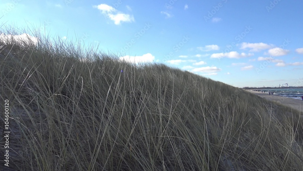 Dünengras weht im Wind, im Hintergrund das Meer