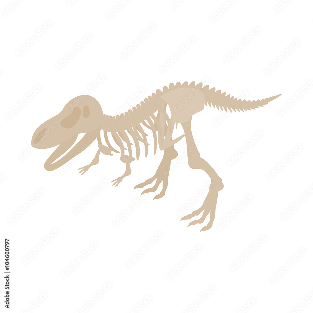 Dinosaur skeleton icon, isometric 3d style Dinosaur skeleton icon, isometric 3d style