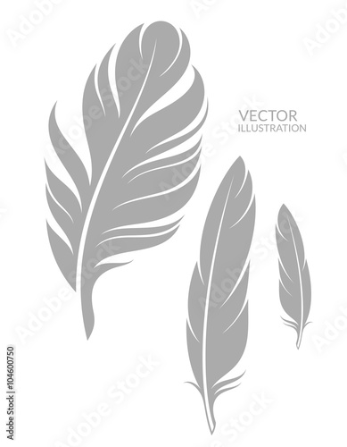 Feather. Isolated on white background © Aleksei_7799