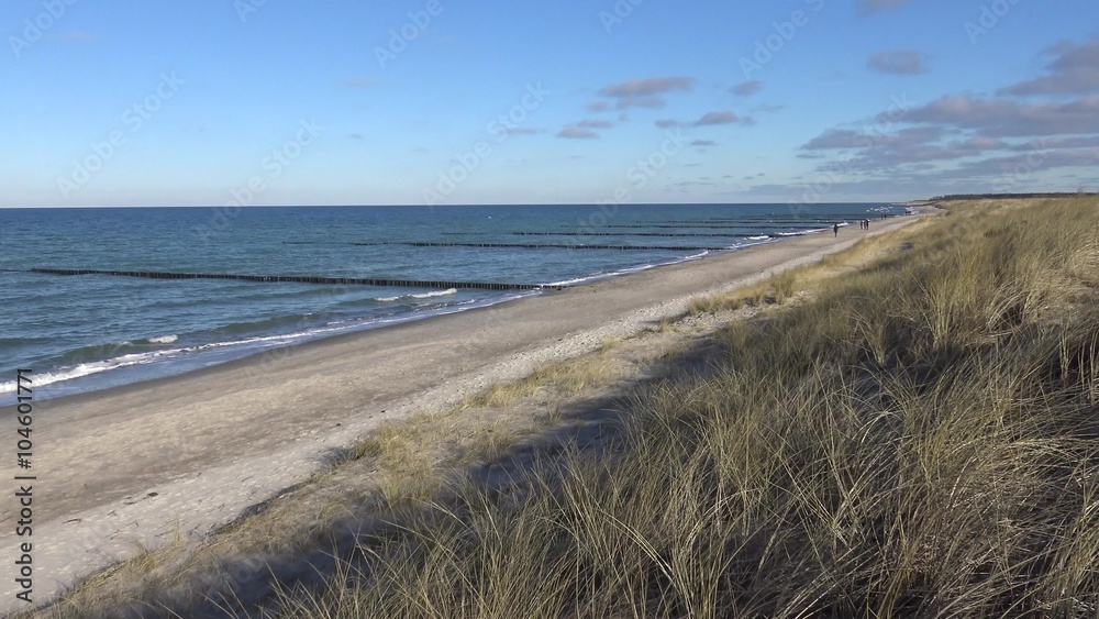 Dünengras weht im Wind, im Hintergrund das Meer