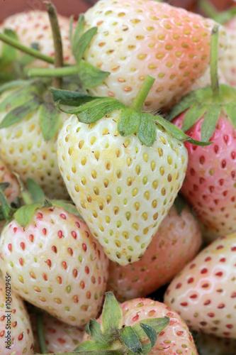 White(raw) strawberries
