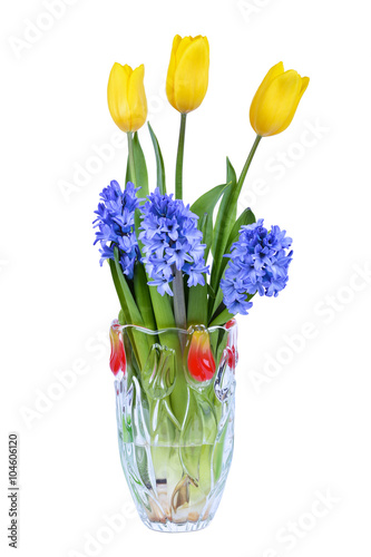 Yellow tulips and hyacinth in vase isolated on white