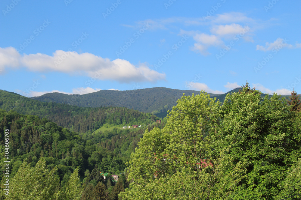 Hills covered with Spring greenery. Carpathian. Ukraine Hills covered with Spring greenery. Carpathian. Ukraine