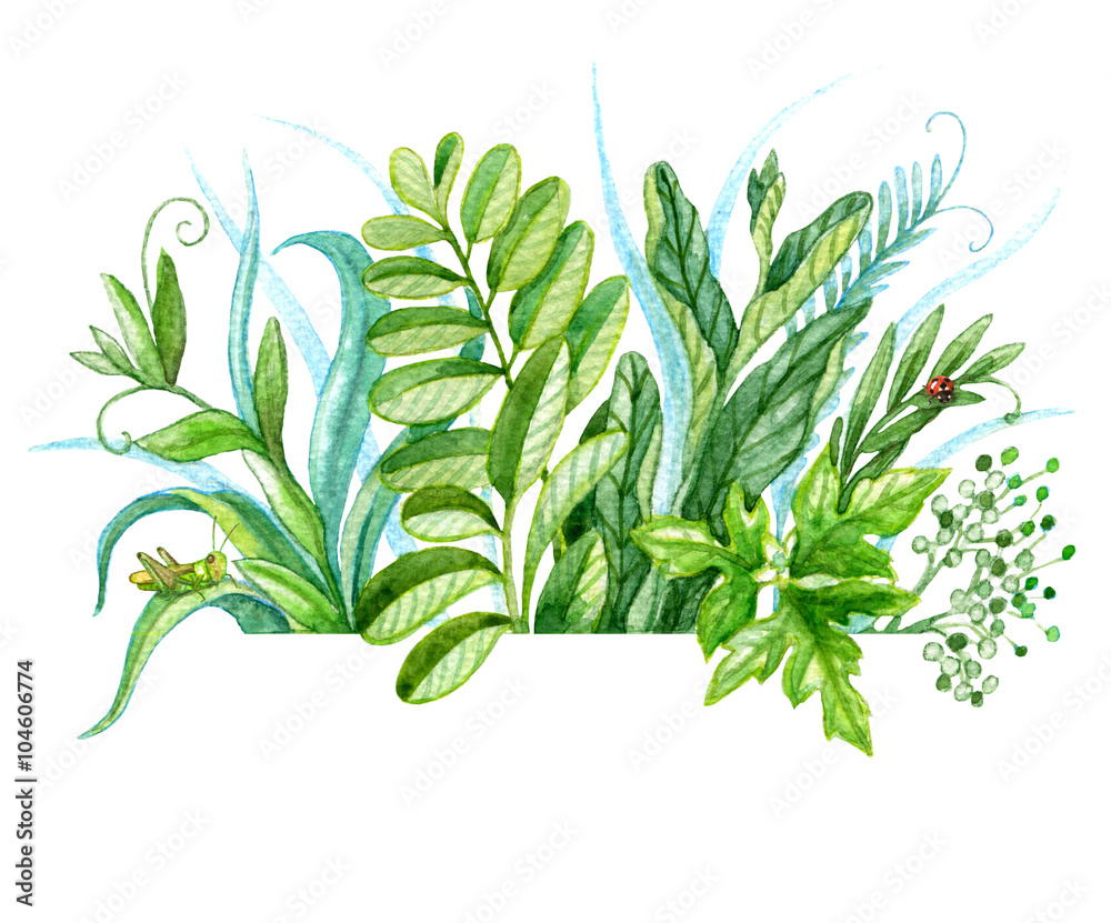 Watercolor bunch of green plants