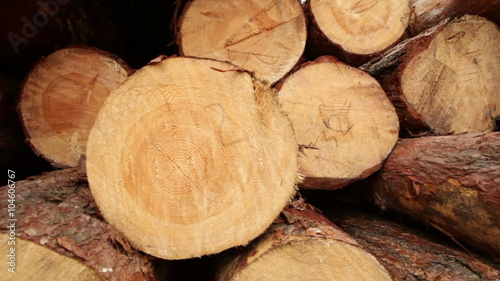 Timber construction timber board wooden