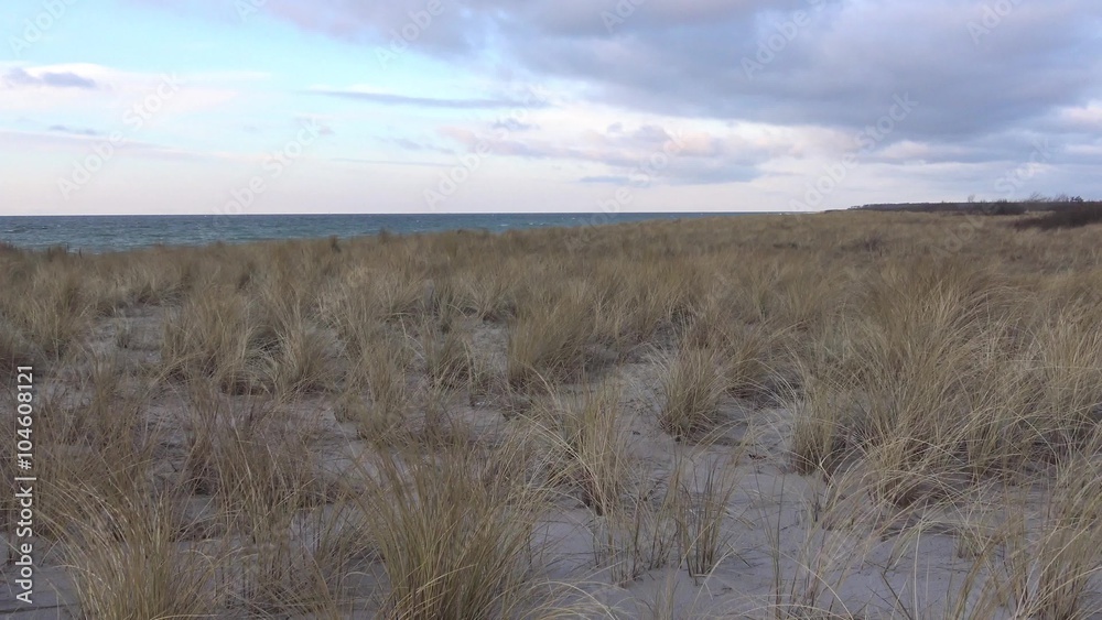 Dünengras weht im Wind, im Hintergrund das Meer