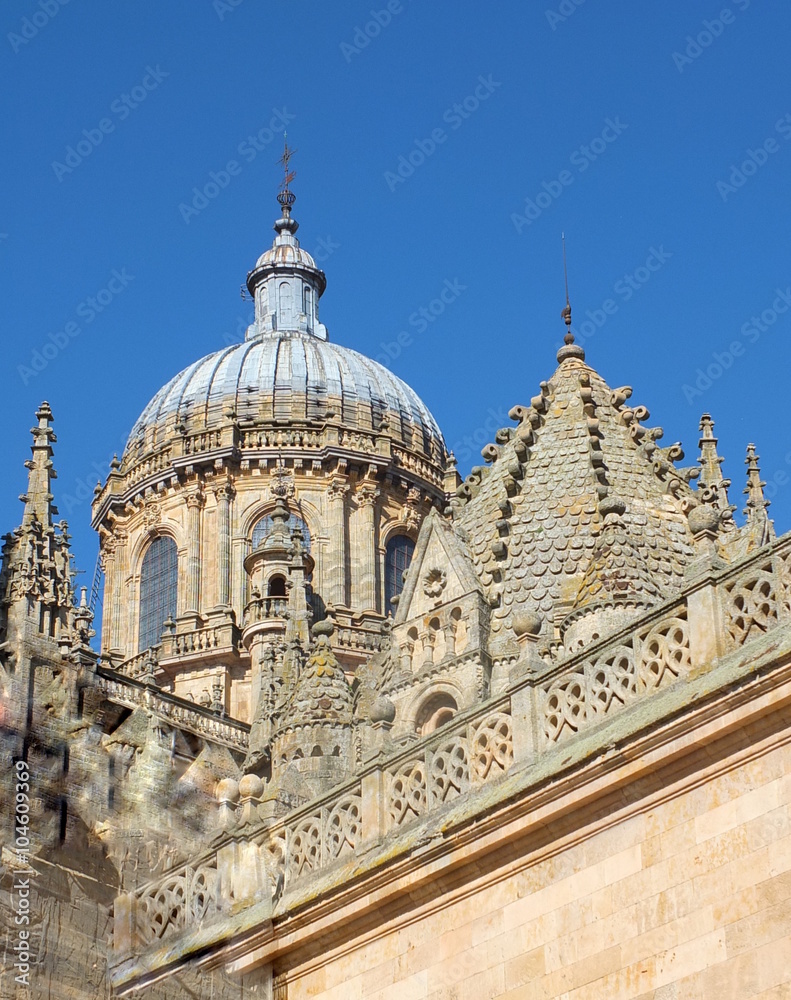Salamanca Cathedral Dome