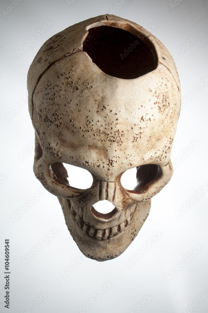 Naklejka premium skull on a light background top view