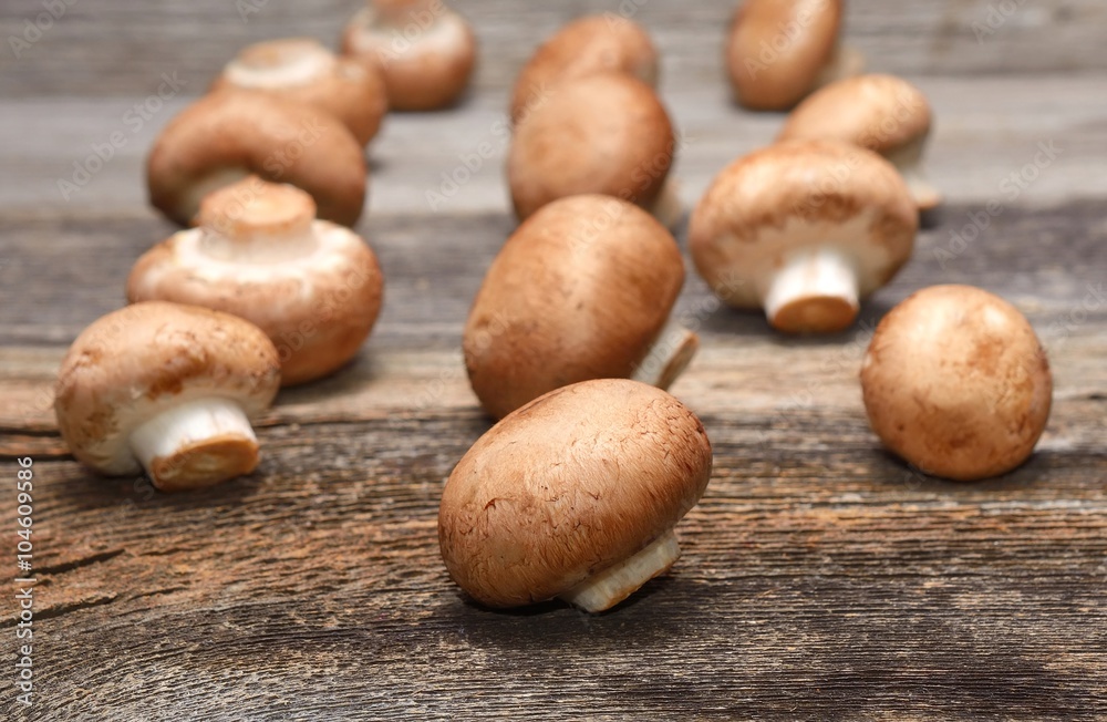 champignon on wooden background champignon on wooden background