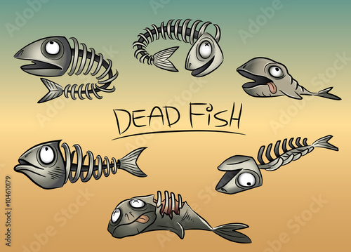 dead fish leftovers and bones vector illustration