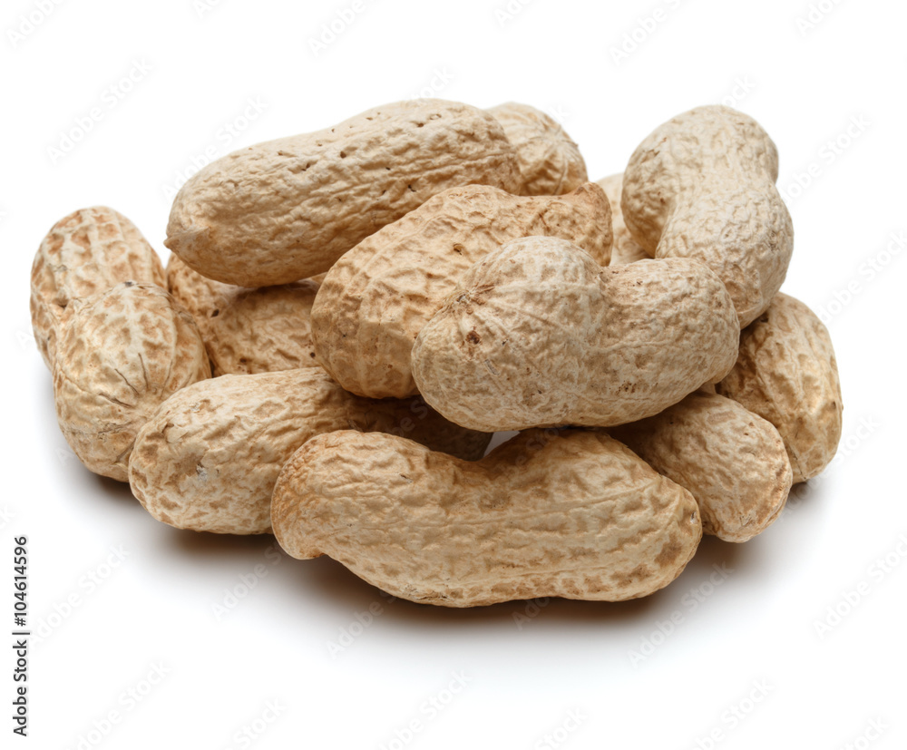 peanut pod or arachis isolated on white background cutout peanut pod or arachis isolated on white background cutout