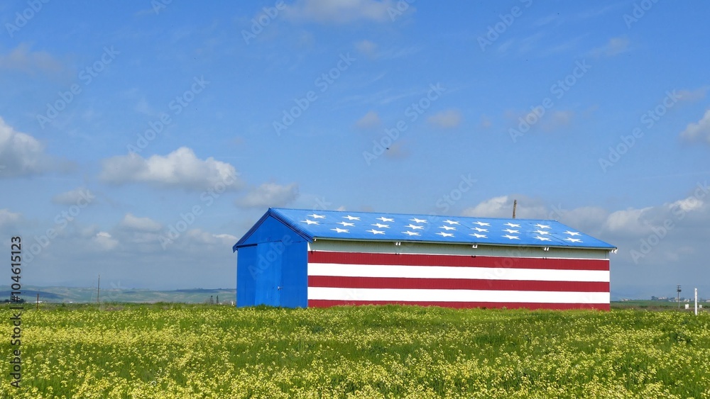 Special American flag style house with flower field and blue sky