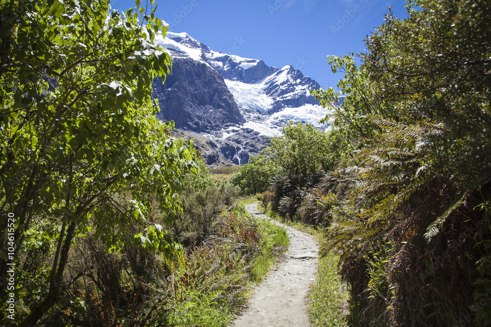 Rob Roy Glacier National Park Neuseeland Rob Roy Glacier National Park Neuseeland