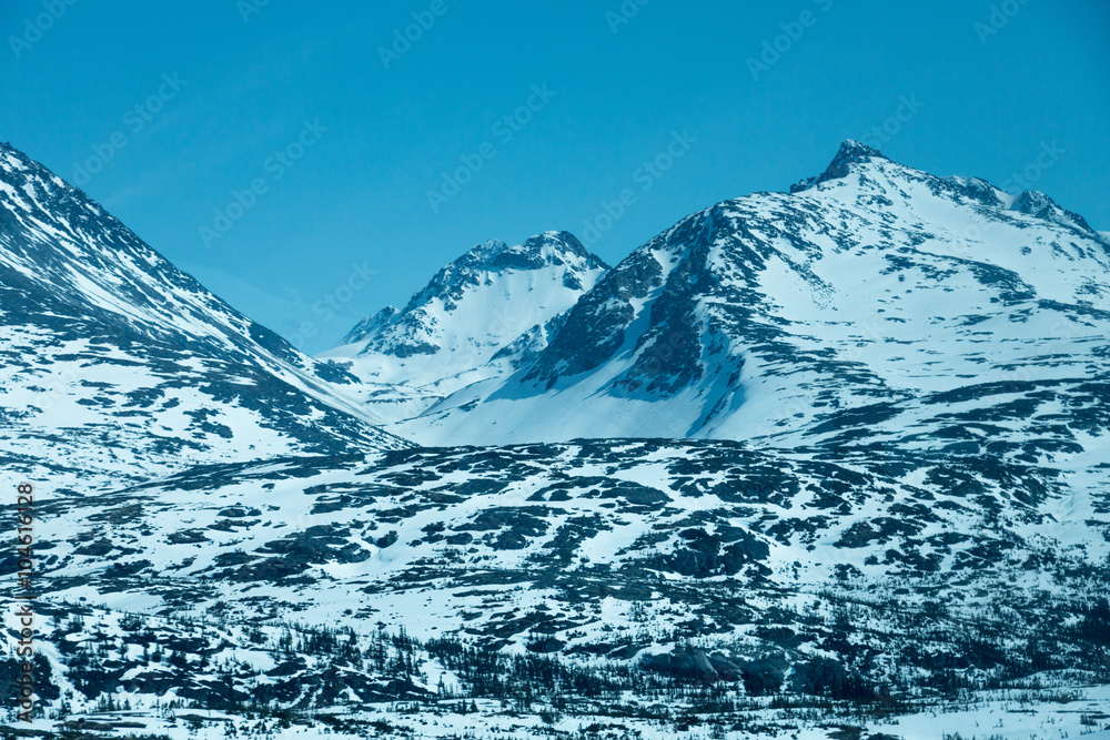 Snowcapped mountain peaks in the far north