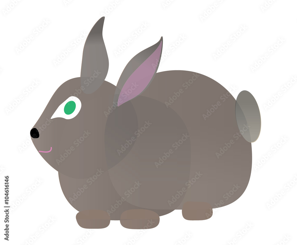 rabbit vector rabbit vector