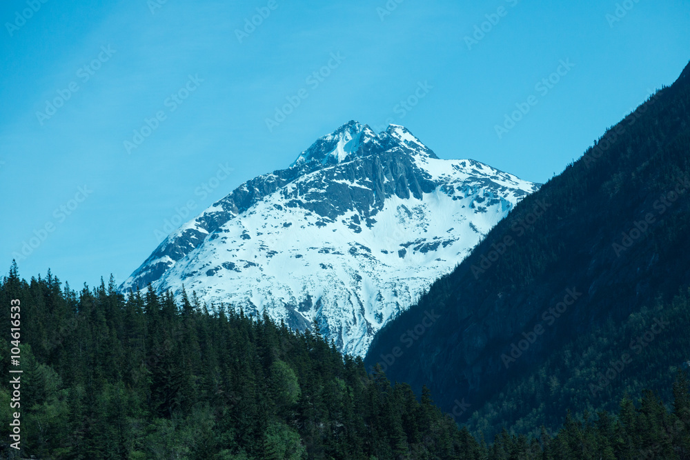 Alaskan Landscape