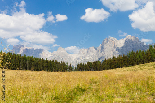 Beautiful alpine panorama