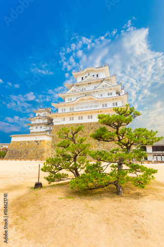 Himeji Jo Castle Base Stronghold Tree Blue Sky V photo