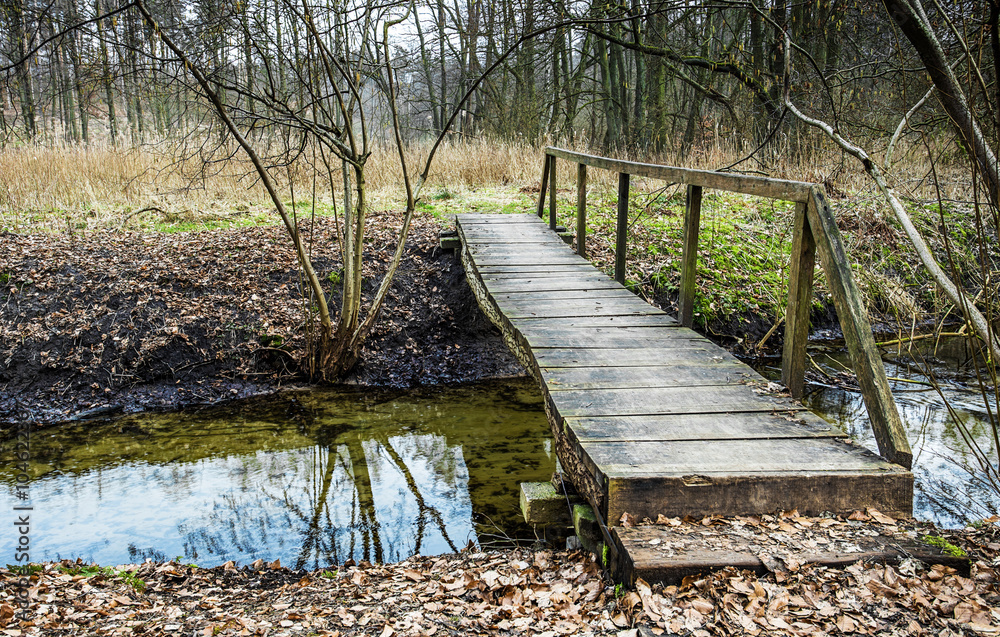 Obraz premium Die Brücke am Hellmühler Fließ im Barnim