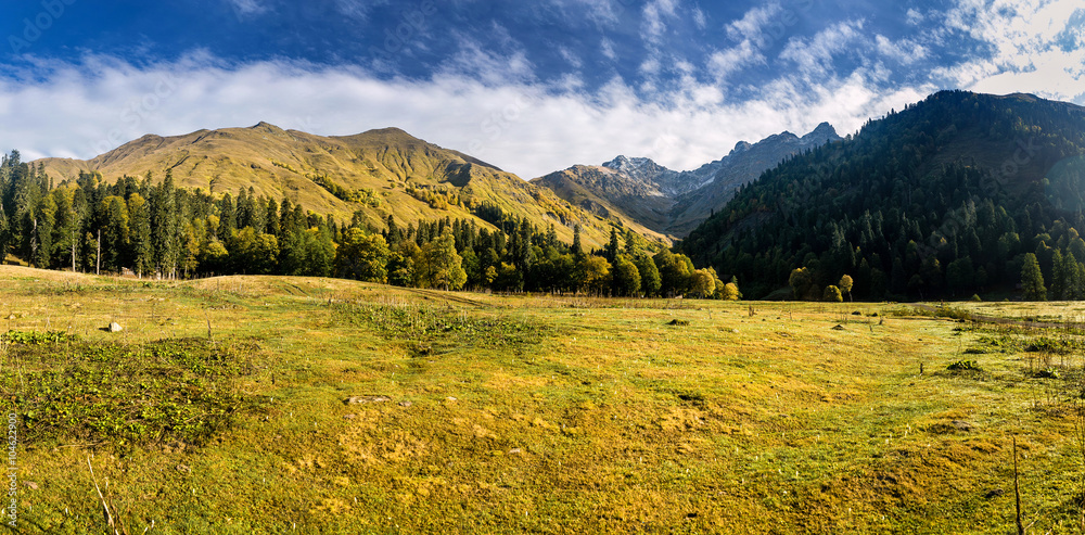 Panorama of the foggy summer morning in the mountains
