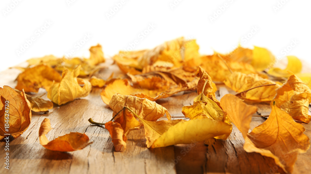 Yellow autumn leaves on wooden table, isolated on white Yellow autumn leaves on wooden table, isolated on white
