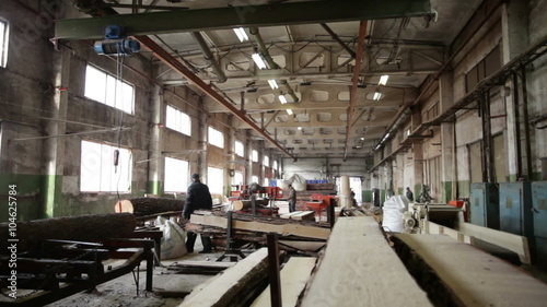 conveyor logs wood factory saw