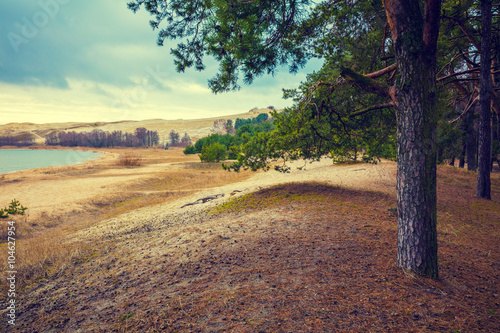 View of the Parnidis dune, Neringa, Lithuania