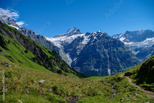 SSunny day view to the mountains vally from top of Mannlichen  Jungfrau region  Bern  Switzerland 