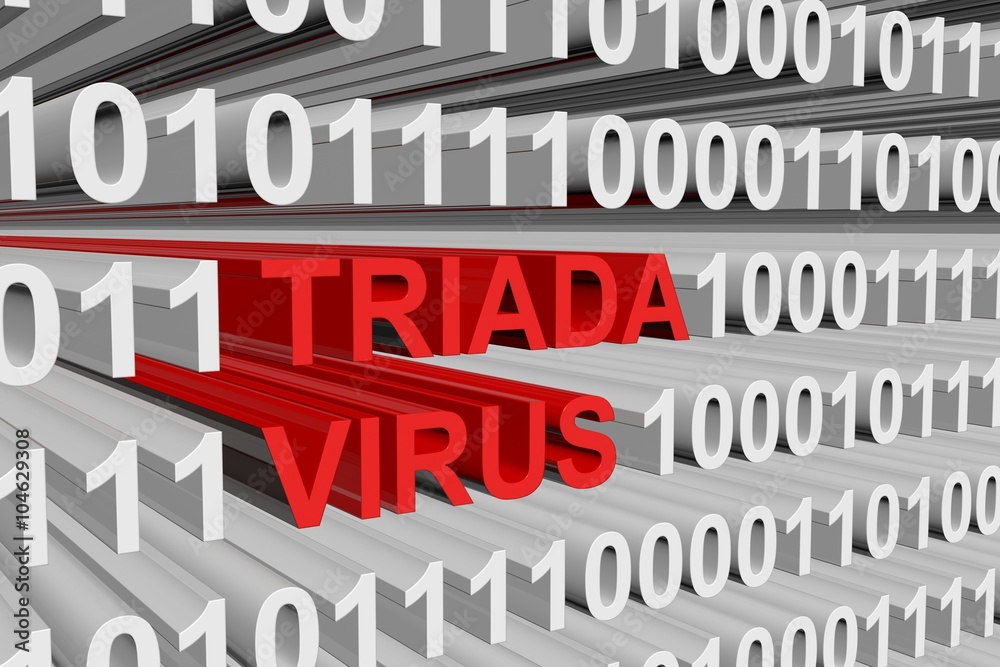 TRIADA VIRUS is presented in the form of binary code