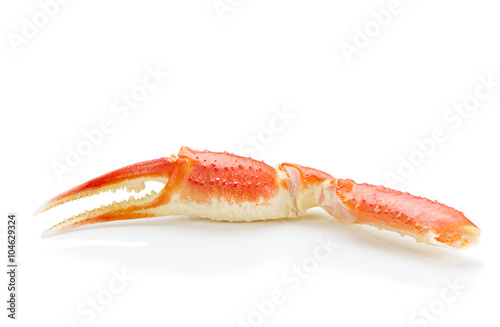 Boiled crab claws isolated on white background