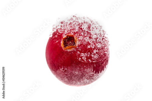 Frozen cranberry isolated on white