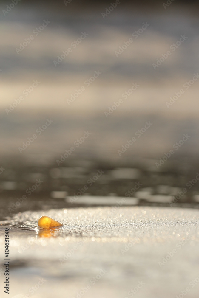 Obraz premium Amber stone on the beach