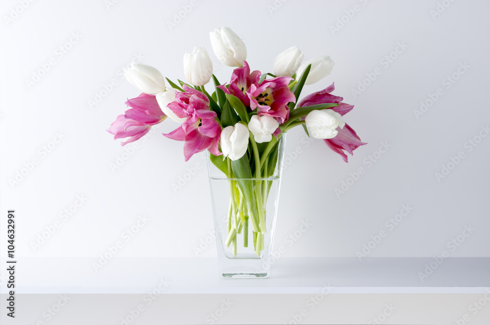 白い背景と棚と花瓶と2色のチューリップ