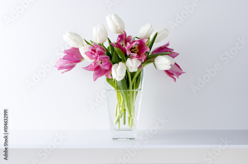 白い背景と棚と花瓶と2色のチューリップ