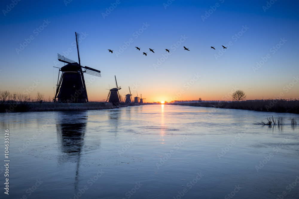 Geese flying over the Kinderdijk windmill Sunrise, Alblasserdam, Netherlands