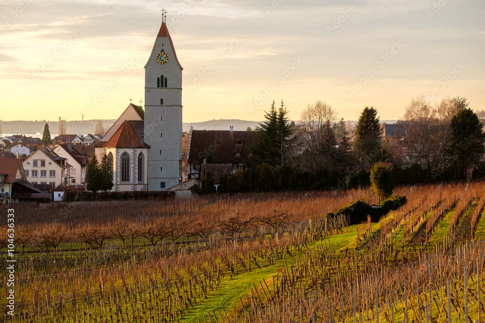 D, Bodensee, Hagnau im Frühjahr, blick auf Weinberge und Kirche, warmes Licht bei Sonnenuntergang