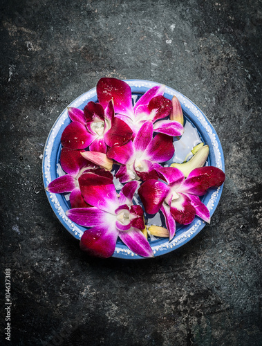 Blue bowl with water and pink orchid on dark rustic background, top view