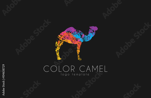 Camel logo. Color camel logo design. Animal logo. Creative logo