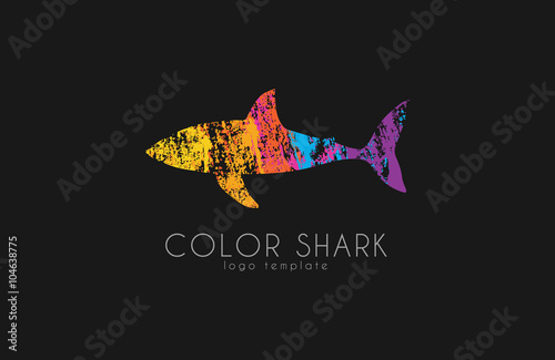 Shark logo. Color shark. Logo in grunge style. Creative logo design